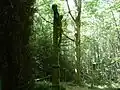 Calvaire de 1830 sur le sentier des pèlerins menant au Mont Sainte-Odile, entre Ottrott et le carrefour Saint-Gorgon.