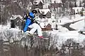 Coupe du monde LG/FIS de slopestyle 2012