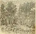 La scène satyrique