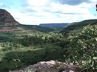 Palmeira do Piauí