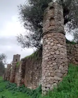Mur de la terrasse