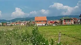 Severni Kočarnik
