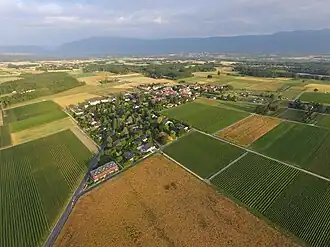 Sézenove