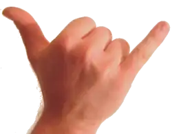 Shaka (signe)