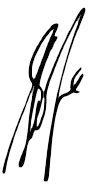 signature de Shania Twain