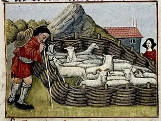 Gravure médiévale représentant des moutons placés dans un enclos.