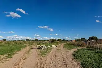 Motokwe