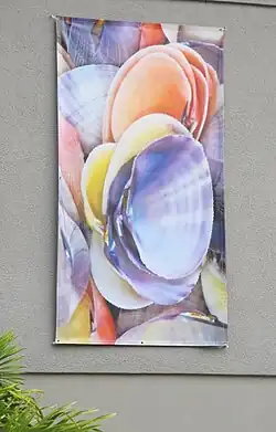Bannière extérieure avec le bivalve Asaphis deflorata&nbsp;(en).