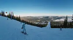Vue d'une piste coupant la taïga