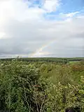 La canopée.