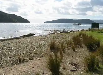 L'île de Motuara, au second plan à droite, depuis Ship Cove. En arrière-plan à l'extrême-droite, l'île Arapaoa