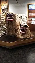 Shīsā.