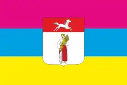 Drapeau de Chpola