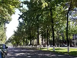 Rue du Turkestan.