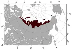 Aire de répartition du Lemming de Sibérie