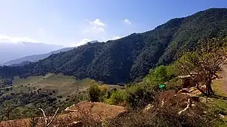 Sidi Semiane