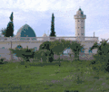 Sidi Harrat.