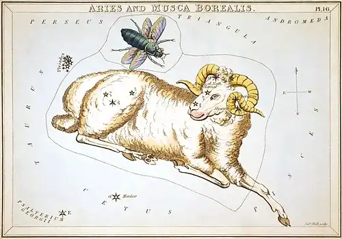 Carte no 16 : Le Bélier et la Guêpe