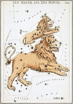 Carte no 20 : Le Lion et le Petit Lion