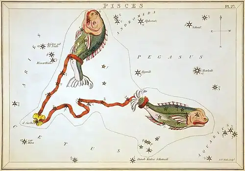 Carte no 27 : Les Poissons