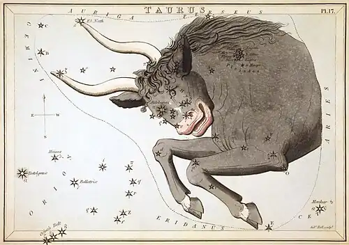 Carte no 17 : Le Taureau