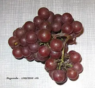 Siegerrebe