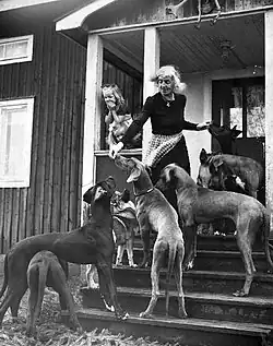 Sigge Stark (1955).