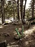 no&nbsp;14 : Grün à Grün (2000) - « Vert à vert »