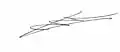 Signature de