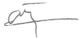 Signature de Ange-Félix Patassé