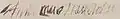 Signature de Anne-Marie-Louise