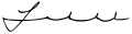 Signature de Luis Adolfo Siles Salinas