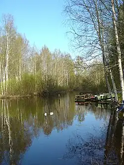 La rivière Siilinjoki&nbsp;(fi) à Siilinjärvi.