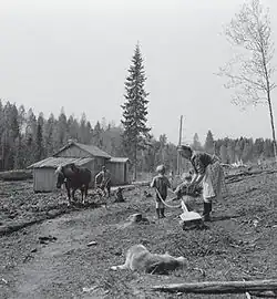 Famille expulsée de Carélie, 1945