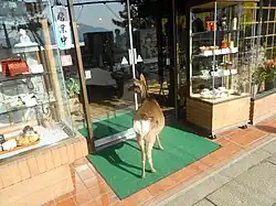 Devant un magasin sur l'île de Miyajima