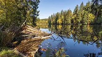 Le Silberteich (de), lac artificiel dans la région du Harz. Octobre 2018.