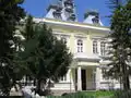 Musée d'art Minkov