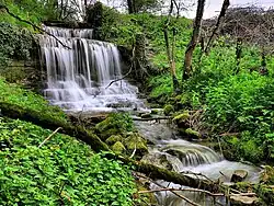Cascade sur la Bonneille près de sa source.
