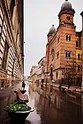 Synagogue de Fabric de Timișoara, de style mauresque, reconstruite en 1865