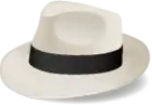 Description de l'image Sinatra logo.png.
