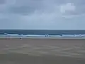 Windsurfeurs à Siouville, Octobre 2006