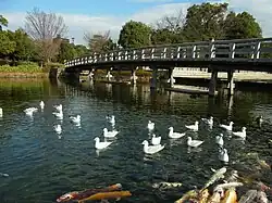 Jardin du cygne