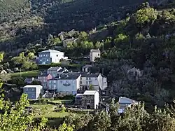 Cipronascu.