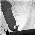 Limon17 de la Via de Magòria une fois fouillé, 1946.