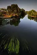 La rivière Sitnica à Vushtrri/Vučitrn
