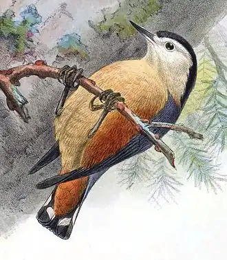 Description de cette image, également commentée ci-après