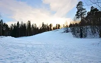 Skidbacken