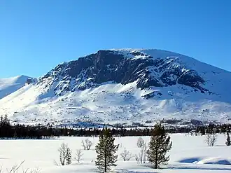 Le Skogshorn.