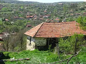 Skrobnica