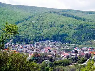 Sokoľ